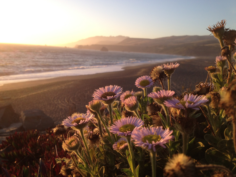 Illustration for article titled Holy Hell, the Pictures the iPhone 4S Can Take Are Insane